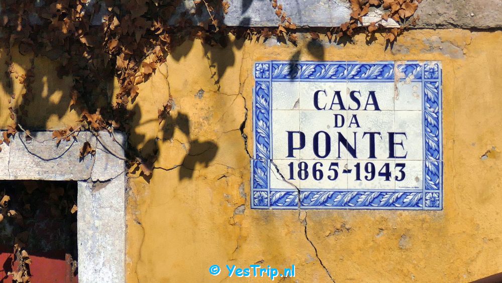 xxx From Serpins to Penacova